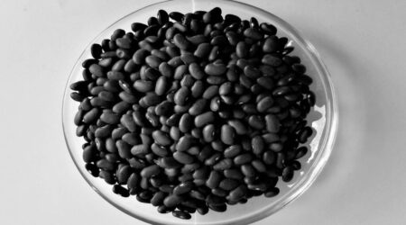 Black Kidney Beans