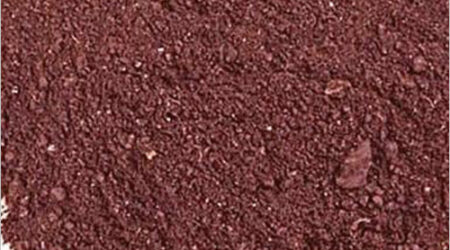 Blood meal powder