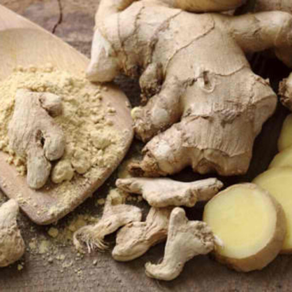 DRY GINGER