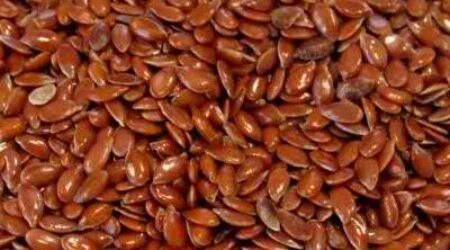 FLAX SEED