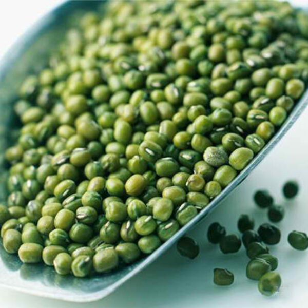 GREEN MUNG BEANS