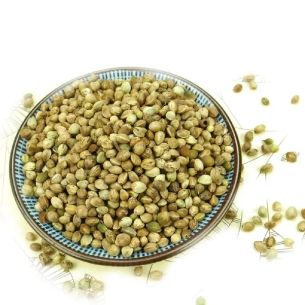 Hemp seeds