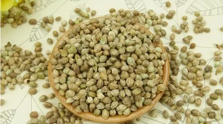 Hemp seeds