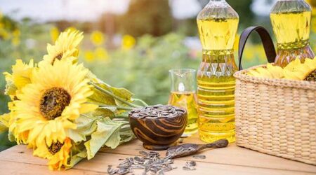 High Oleic Sunflower Oil