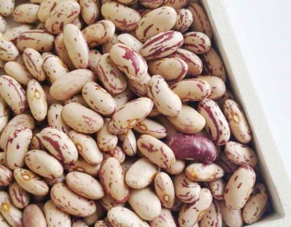 Light speckled kidney beans