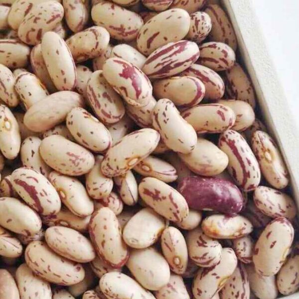 LIGHT SPECKLED KIDNEY BEANS