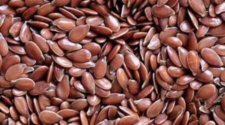 Linseed (Flaxseed)