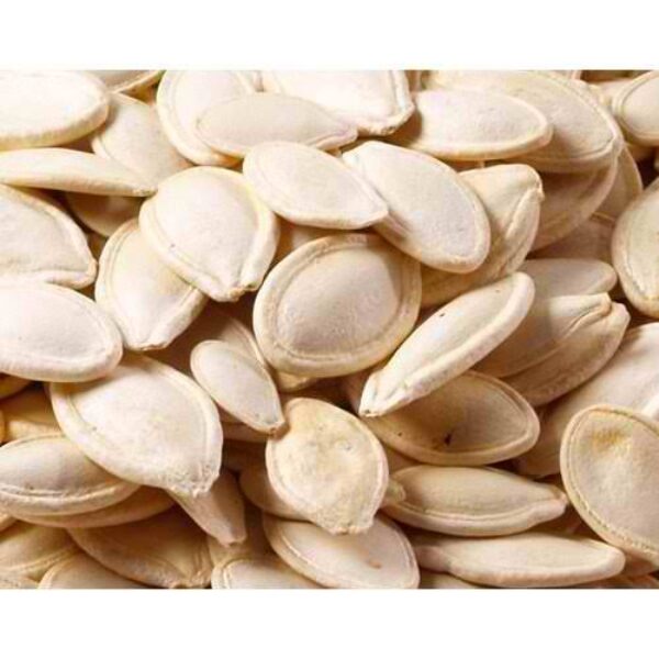 PUMPKIN SEED