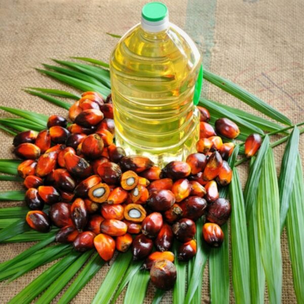 Palm Oil