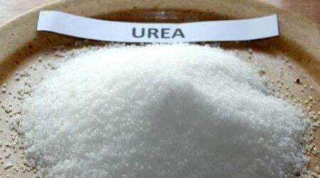 Pure Urea Nitrogen Fertilizer 46-0-0 Granular