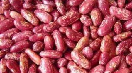 RED SPECKLED KIDNEY BEANS