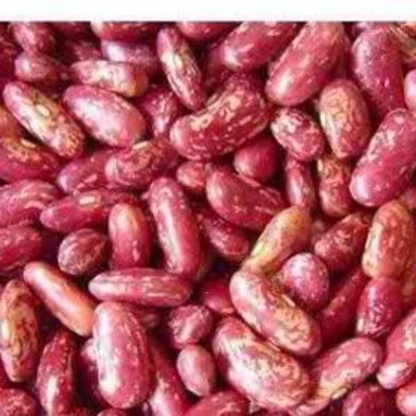 RED SPECKLED KIDNEY BEANS