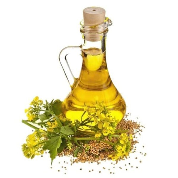 Rapeseed Oil