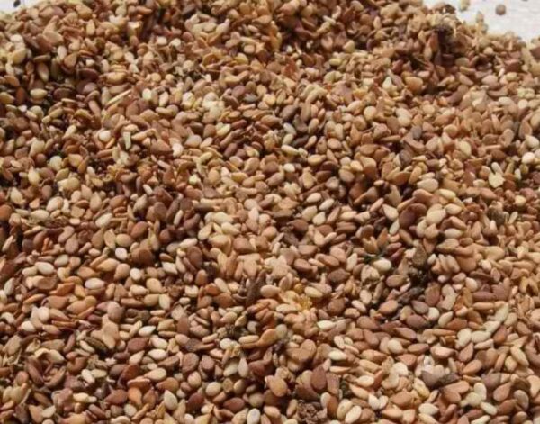 Reddish Sesame Seed