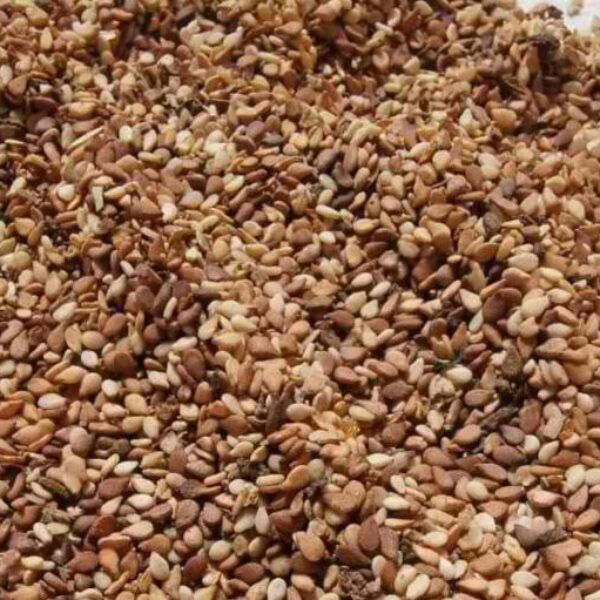 RED SESAME SEEDS