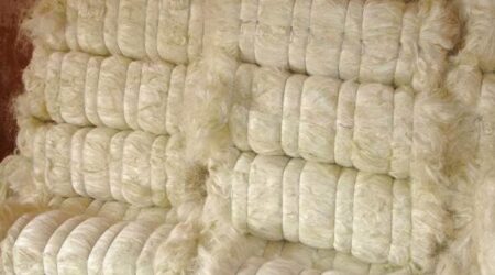 SSUG Grade Sisal Fibre