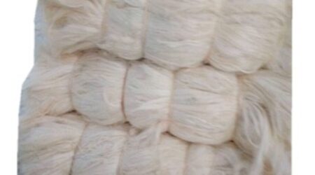 Sisal Fiber Grade No. 3 Short