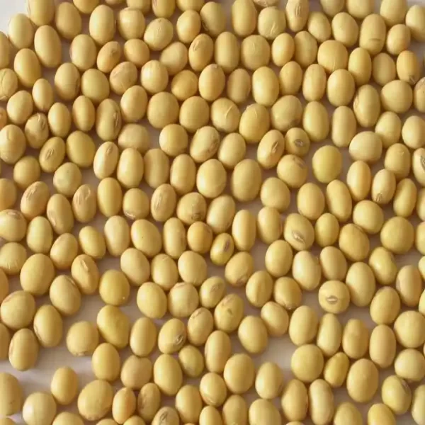 Soya beans