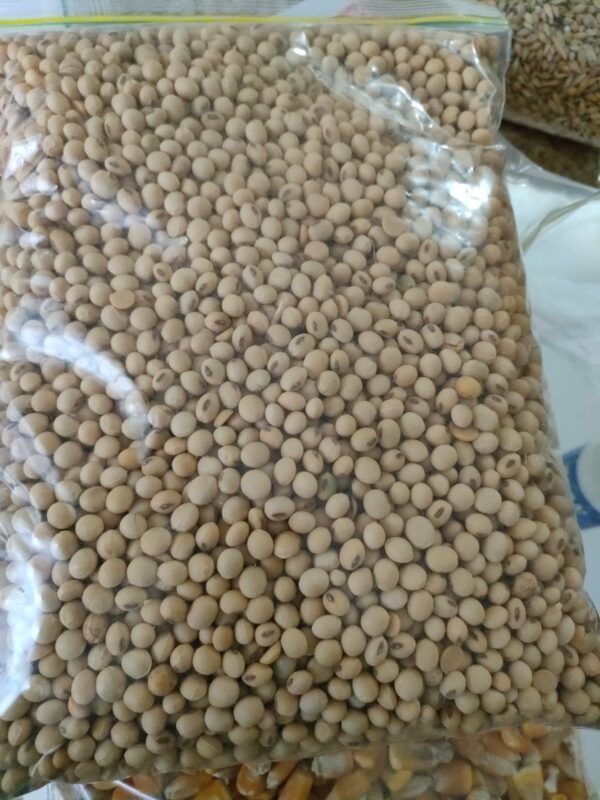 Soya beans