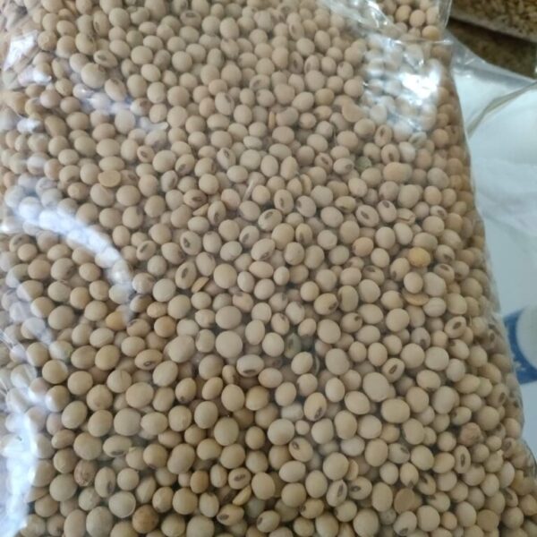 Soya Beans