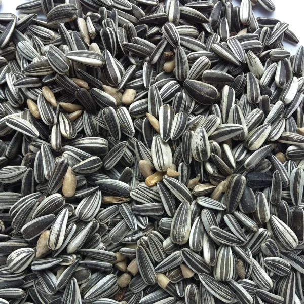 Sunflower seeds meal