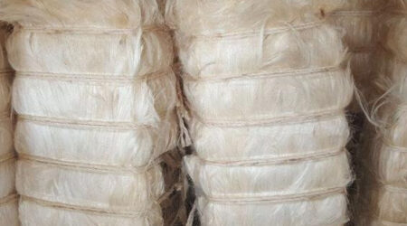 Tow 1 Grade Sisal Fibre