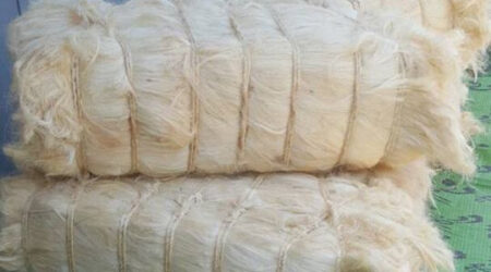 UG Grade A Sisal Fibre