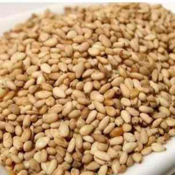 Whitish sesame seed